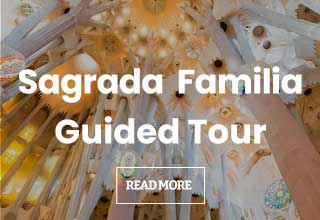 Sagrada Familia Guided Visit