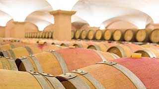 Albet i Noya Winery Tour