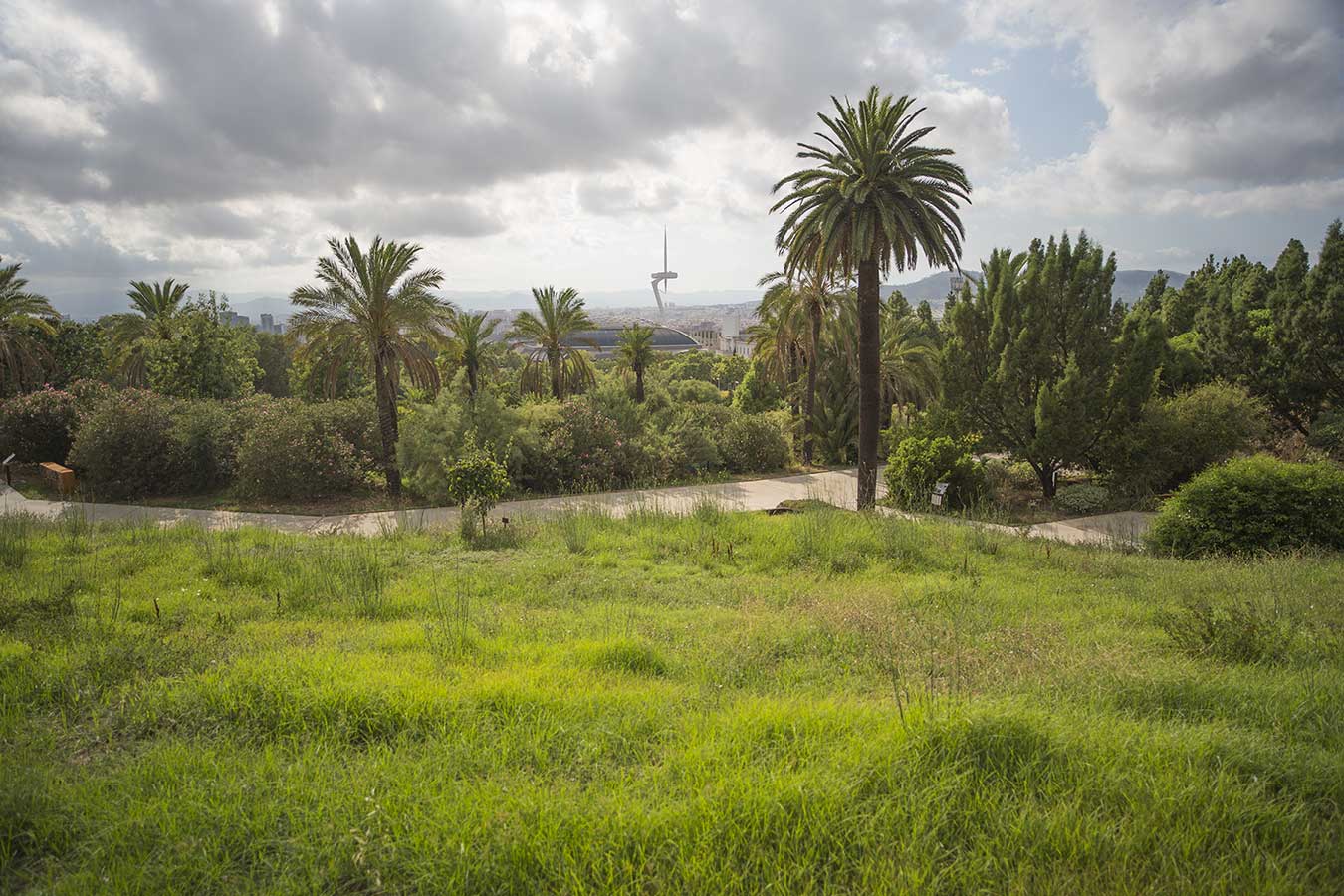 Barcelona views from Montjuic