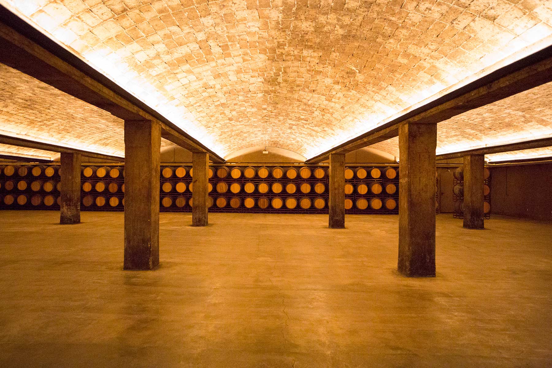 freixenet winehouse