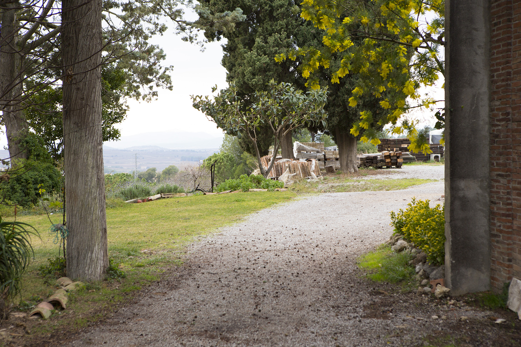 Penedes bottles for wine tasting