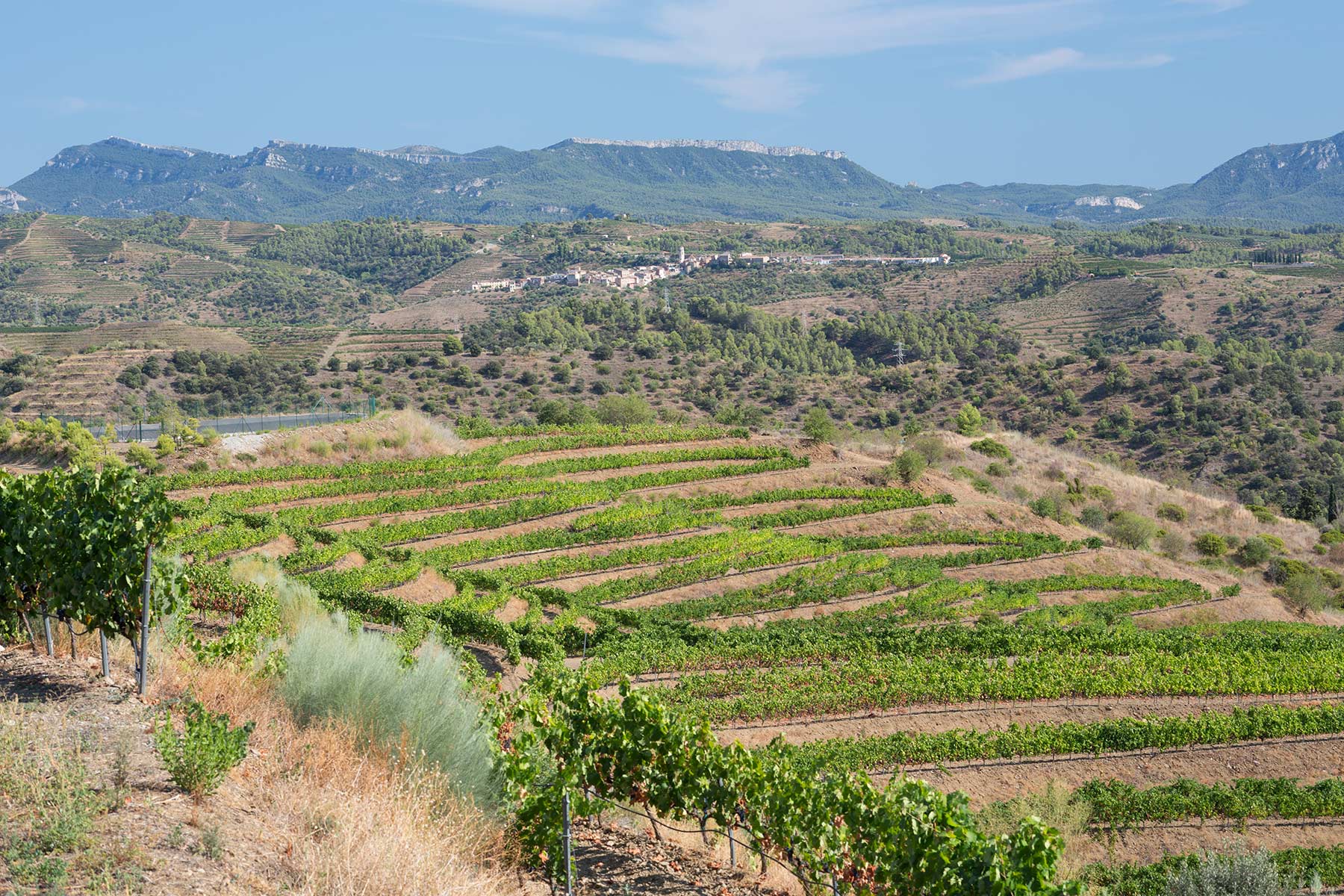 Montana Monsant, Priorat