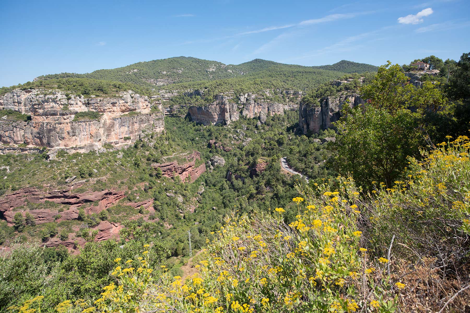 Vinområdet Priorat