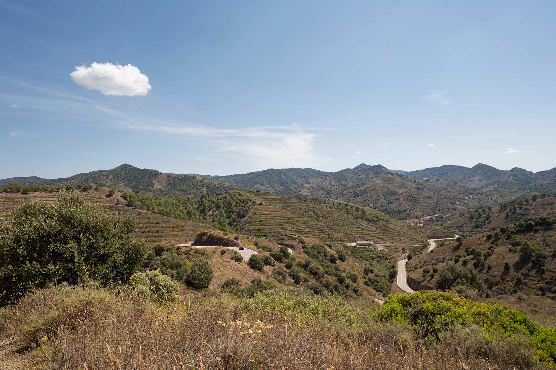 Vinmarker i Priorat vinområdet