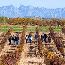 Tour a Penedes