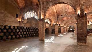 Visita a las bodegas Torres