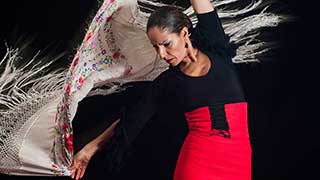 Espectáculo de flamenco