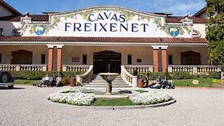 Visita a Freixenet