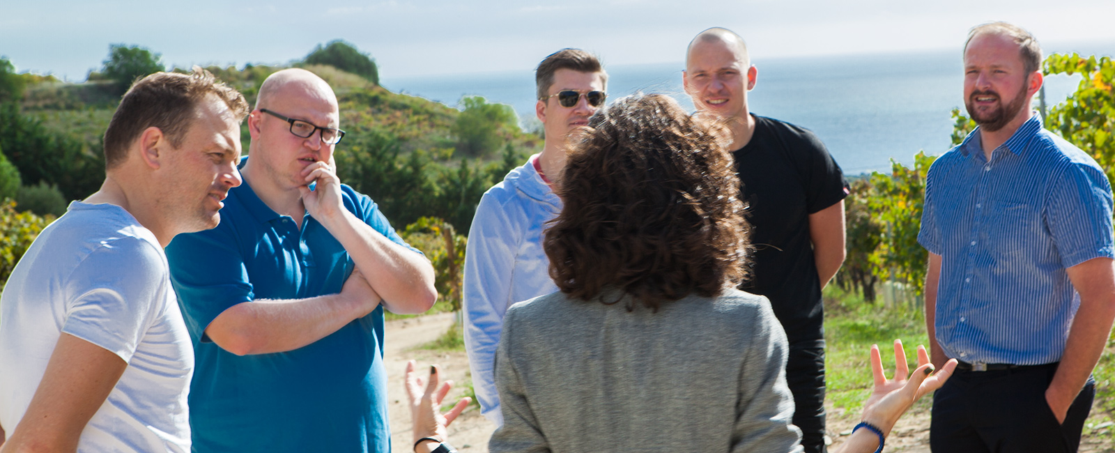 Visites de vignobles