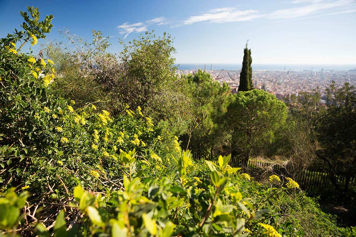 Park Güell