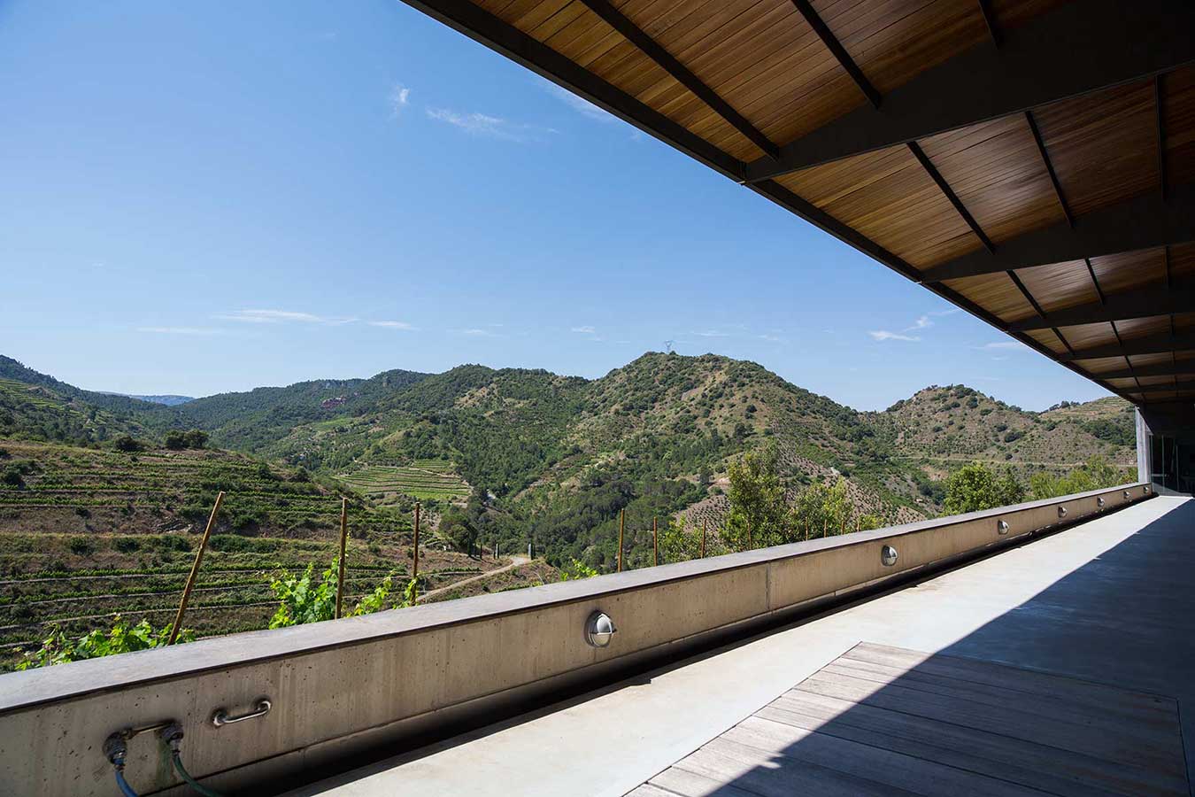 Vineyards in Priorat