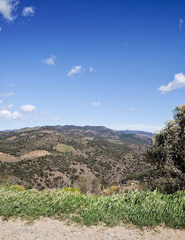 Vistas desde Bodega Alvaro Palacios en Priorat