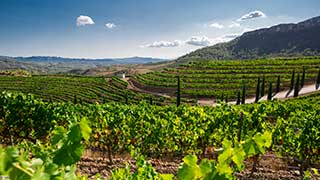 Visite à Priorat 