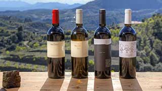 Vintur til Clos de l'Obac i Priorat