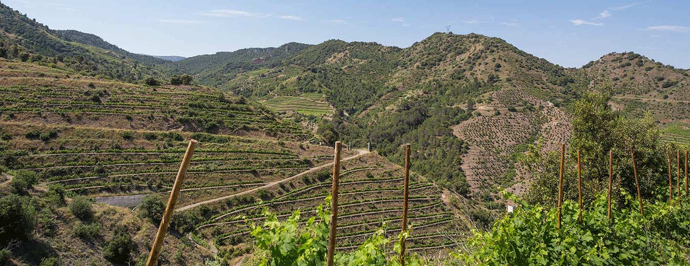 Priorat