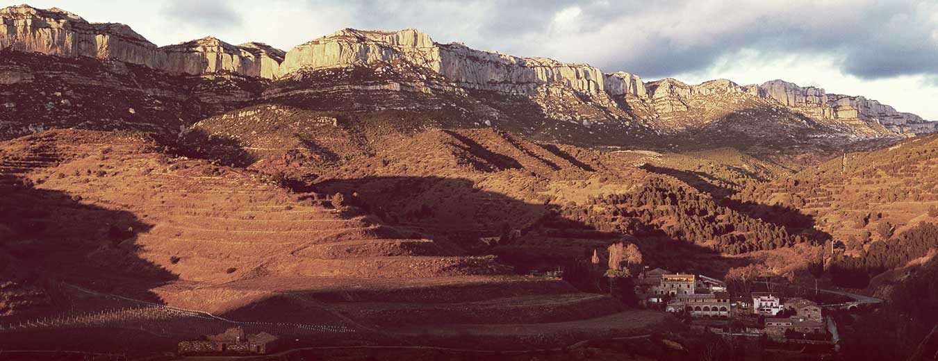 Scala Dei Winery in Priorat