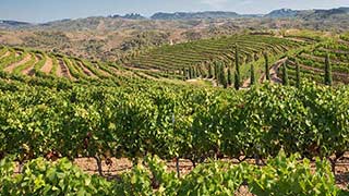 Priorat Weintour