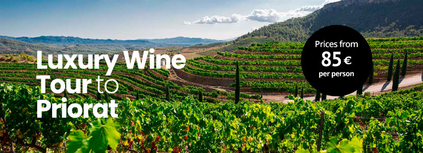 Private wine tour to Priorat