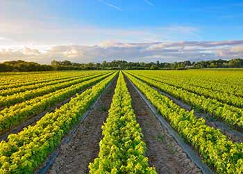 The Rioja Wine Region