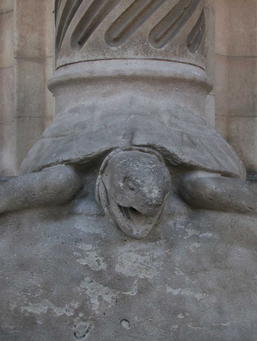 Tortoise at the Nativity Facade