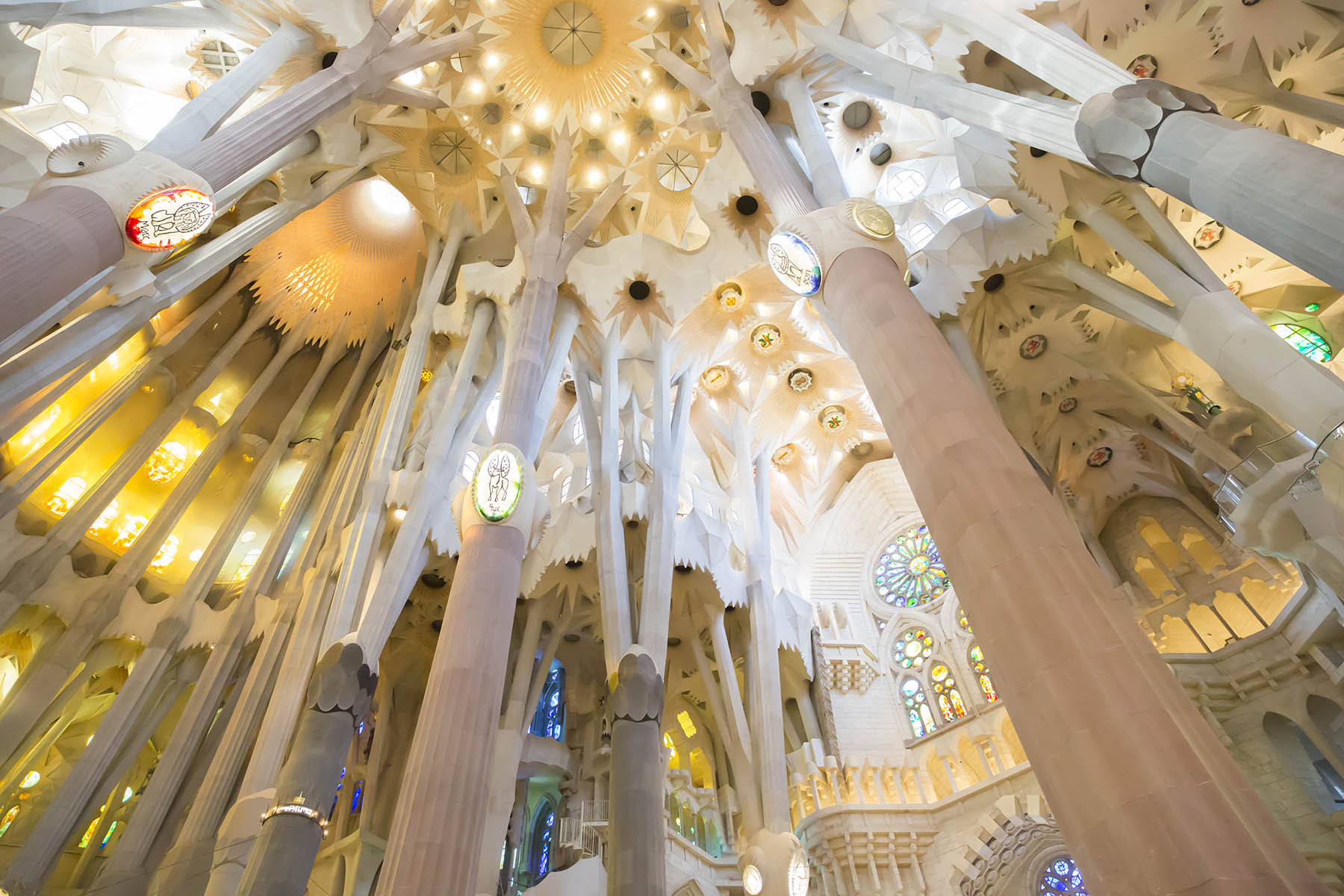 Sagrada Familia columns, roof and baldachin