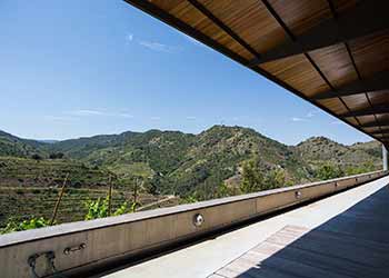 The Priorat Wine Region