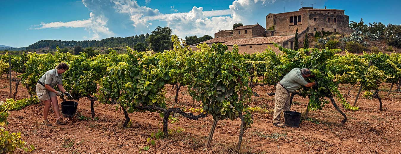 winery tour barcelona