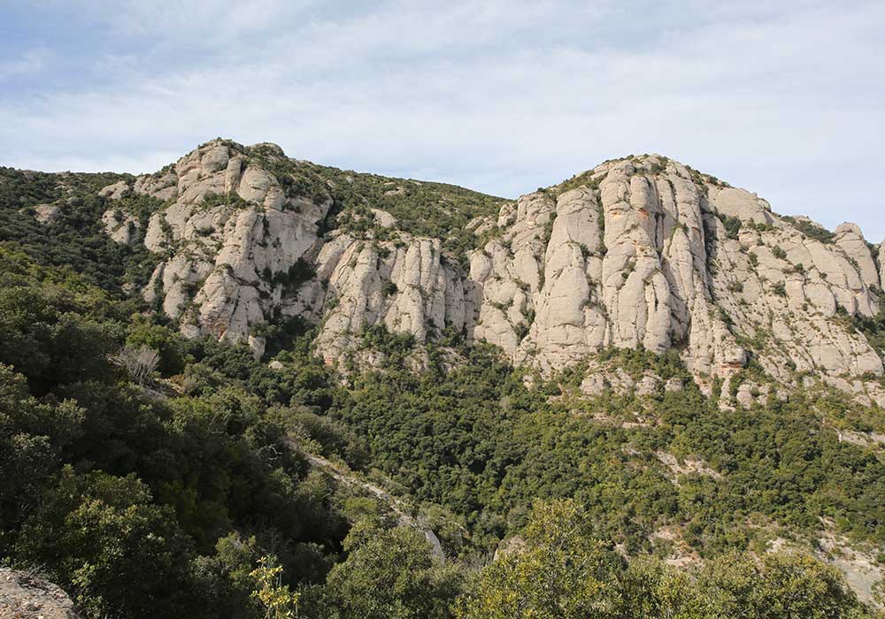 Montserrat and Cava Tour from Barcelona