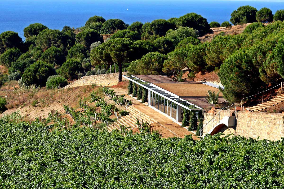 Alta Alella Bodega