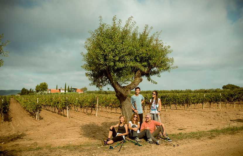 Penedes Winery