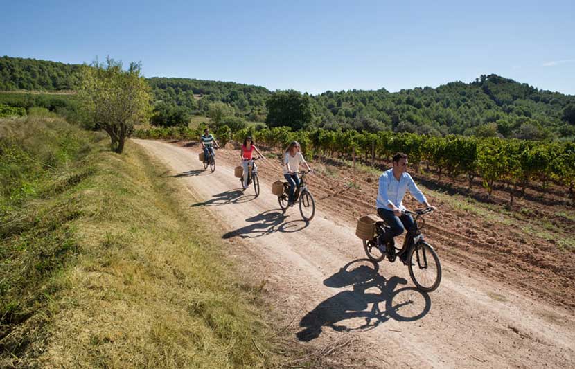 Penedes Winery