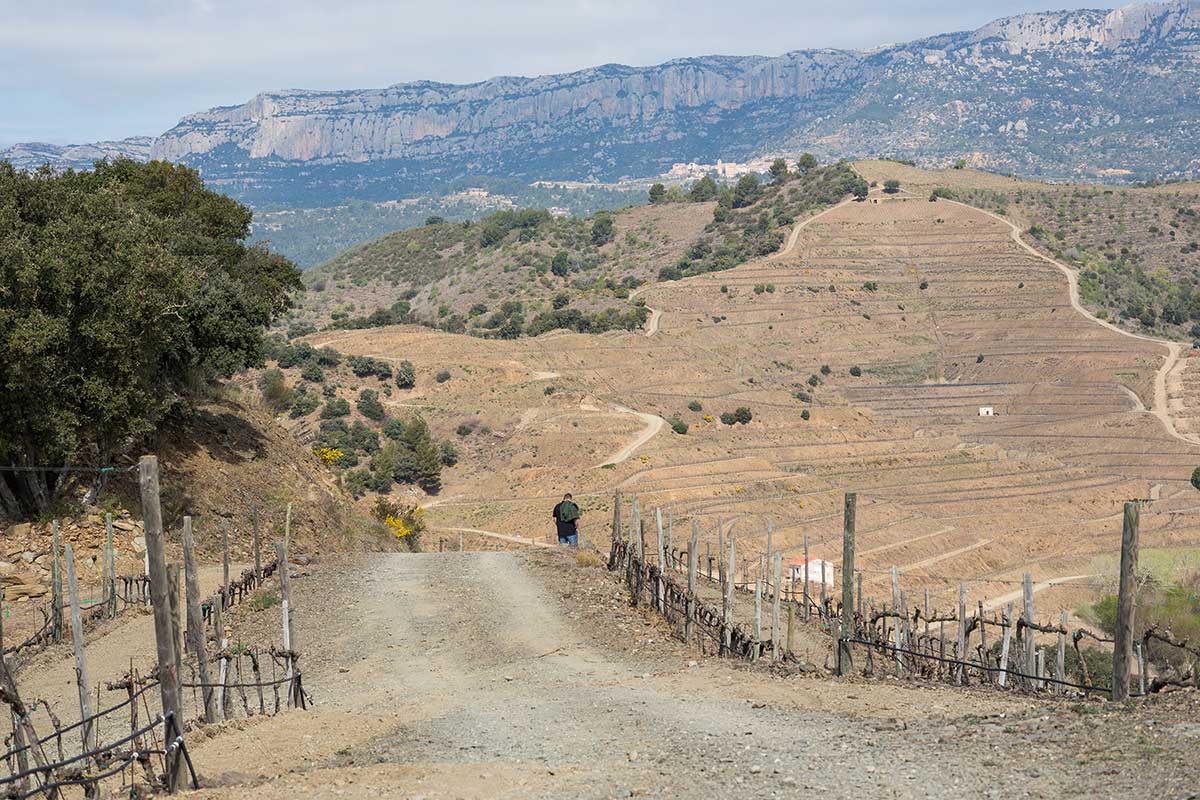 Priorat landscape