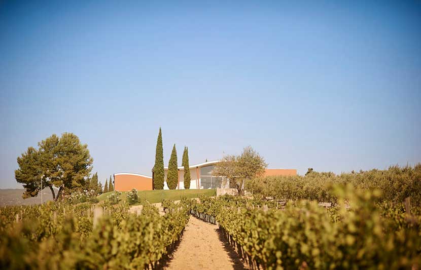 Penedes Winery