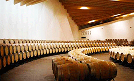 Vinhuset Ysios i Ribera del Duero