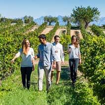 Penedes wine tour